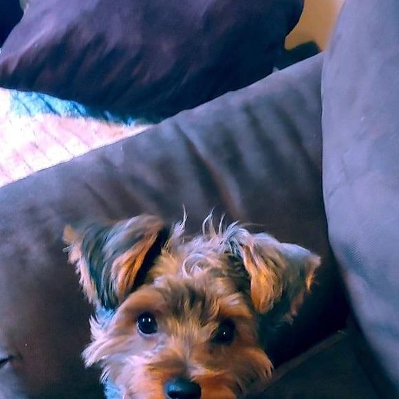 bettybrandon